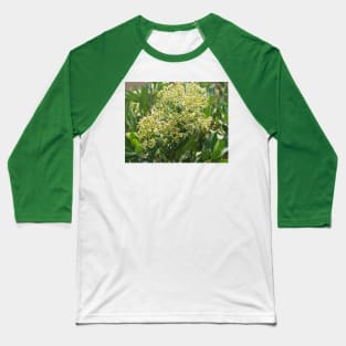 Flowers And Bees Baseball T-Shirt